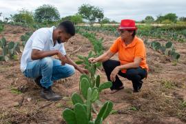 WhatsApp Image 2023-07-24 at 11.02.20.jpeg