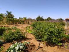 WhatsApp Image 2023-07-27 at 17.31.26.jpeg