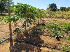 WhatsApp Image 2023-07-27 at 17.31.27.jpeg