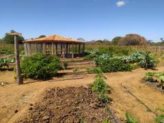 WhatsApp Image 2023-07-27 at 17.31.28.jpeg