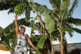 WhatsApp Image 2023-07-28 at 16.04.45.jpeg