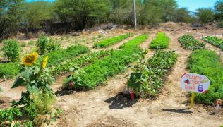 WhatsApp Image 2023-07-31 at 22.33.32.jpeg