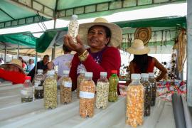 WhatsApp Image 2023-08-03 at 15.00.37.jpeg