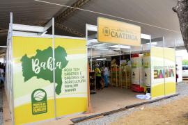 WhatsApp Image 2023-08-03 at 15.04.55 (1).jpeg