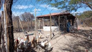 WhatsApp Image 2023-08-07 at 17.38.37.jpeg