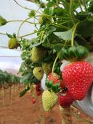 WhatsApp Image 2023-08-11 at 16.42.16 (1).jpeg