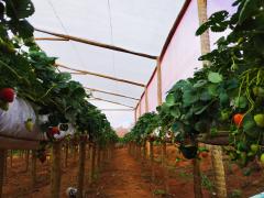 WhatsApp Image 2023-08-11 at 16.42.16.jpeg