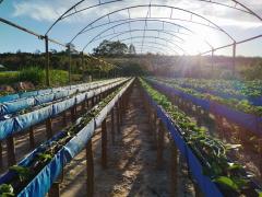 WhatsApp Image 2023-08-11 at 16.42.19.jpeg