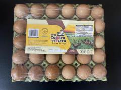 WhatsApp Image 2023-08-17 at 12.03.55 (1).jpeg