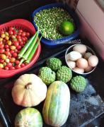 WhatsApp Image 2023-08-22 at 12.21.01.jpeg