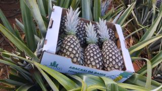 WhatsApp Image 2023-08-22 at 17.48.22.jpeg