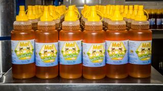 Cópia de Mel_Velho Chico_Ibotirama_(Foto - André Frutuôso).jpg