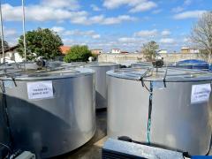 WhatsApp Image 2023-09-01 at 09.33.30 (1).jpeg