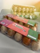 WhatsApp Image 2023-09-08 at 17.26.59.jpeg