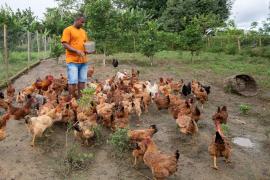 WhatsApp Image 2023-09-08 at 17.28.33.jpeg