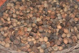 WhatsApp Image 2023-09-19 at 15.55.49.jpeg