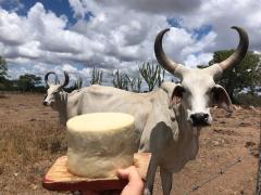 WhatsApp Image 2023-09-26 at 16.02.32.jpeg