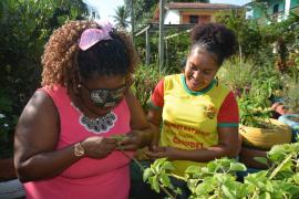 WhatsApp Image 2023-09-26 at 17.45.15.jpeg