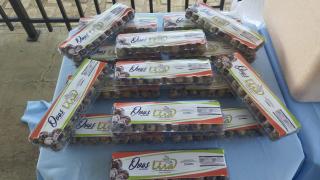 WhatsApp Image 2023-09-28 at 10.14.47.jpeg