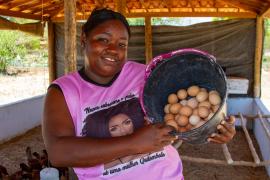 Kits Produtivos Ovos Carinhanha (16).jpg