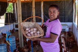 Kits Produtivos Ovos Carinhanha (22).jpg