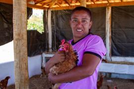 Kits Produtivos Ovos Carinhanha (24).jpg