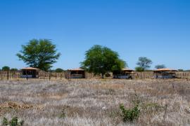 Kits Produtivos Ovos Carinhanha (30).jpg