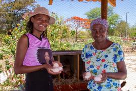 Kits Produtivos Ovos Carinhanha (32).jpg