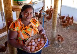 Kits Produtivos Ovos Carinhanha (38).jpg