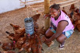 Kits Produtivos Ovos Carinhanha (9).jpg