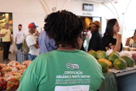 WhatsApp Image 2023-10-02 at 18.08.18.jpeg