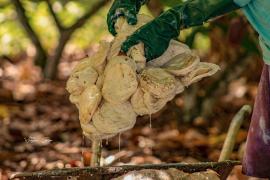 WhatsApp Image 2023-10-03 at 16.11.38 (2).jpeg