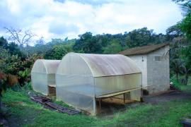 WhatsApp Image 2023-10-04 at 14.16.37.jpeg