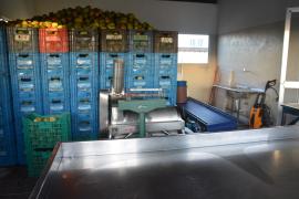 WhatsApp Image 2023-10-07 at 10.15.00.jpeg