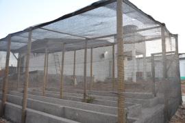 WhatsApp Image 2023-10-07 at 10.15.02 (1).jpeg