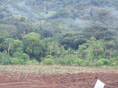 WhatsApp Image 2023-10-11 at 17.57.25 (2).jpeg