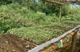 WhatsApp Image 2023-10-13 at 09.38.48.jpeg