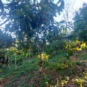 WhatsApp Image 2023-10-18 at 17.39.49.jpeg