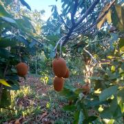 WhatsApp Image 2023-10-18 at 17.39.50 (1).jpeg