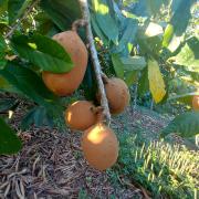 WhatsApp Image 2023-10-18 at 17.39.50.jpeg