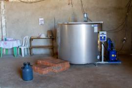 WhatsApp Image 2023-10-31 at 15.54.23.jpeg