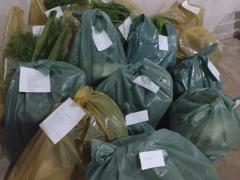 WhatsApp Image 2023-11-01 at 17.25.29(2).jpeg