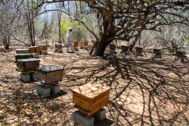 WhatsApp Image 2023-11-09 at 14.50.59 (1).jpeg