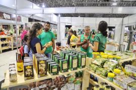 WhatsApp Image 2023-11-17 at 14.39.52.jpeg