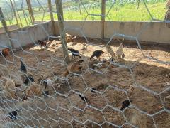 WhatsApp Image 2023-11-23 at 15.28.04 (1).jpeg