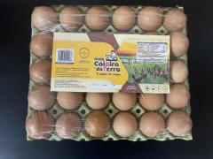 WhatsApp Image 2023-11-30 at 18.03.30.jpeg