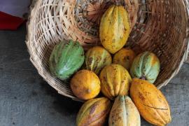 36 Encontro Estadual MST na Bahia_Fotos Geraldo Carvalho (2).jpg