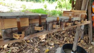 WhatsApp Image 2023-12-07 at 10.31.33 (2).jpeg