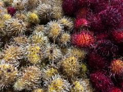 WhatsApp Image 2023-12-11 at 11.19.55.jpeg