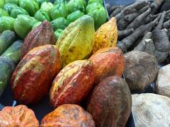 WhatsApp Image 2023-12-11 at 11.19.56 (1).jpeg